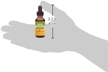Herb Pharm Cactus Grandiflorus Liquid Extract for Cardiovascular Circulatory Support - 1 Ounce