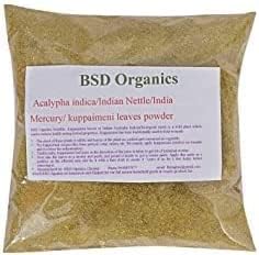 Leaves Powder of Acalypha Indica/Indian Nettle/Indian Mercury/Indian Copperleaf/kuppaimeni (500 Gm)