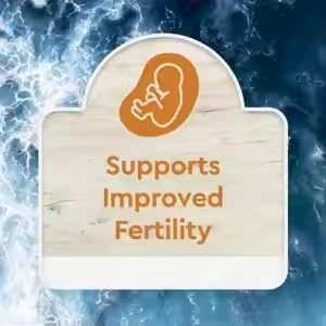 Wild Caught Fish Eggs Omega-3 Supplement 2400mg - Supports Brain, Heart, Fertility & Inflammatory Health - Whole Food Source of Vitamin D, K2, A, Non-GMO, Freeze-Dried, 120 Capsules