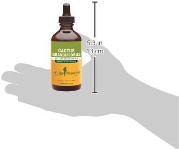 Herb Pharm Cactus Grandiflorus Liquid Extract for Cardiovascular Circulatory Support - 4 Ounce