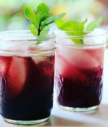 Norm's Farms American Elderberry Extract - Pure Concentrate for Immune Support Made with Berries - Vegan, Gluten Free, Non-GMO - 8 Oz. Bottle