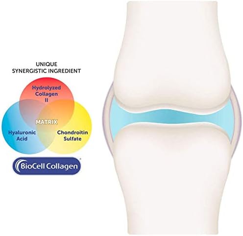 Purity Products JointGel (Berry Flavor) + HA Joint Formula Bundle Bioactive Collagen Peptides + MSM - Supports Joint Function + Flexibility While Fortifying Joint Cartilage - Hyaluronic Acid +More
