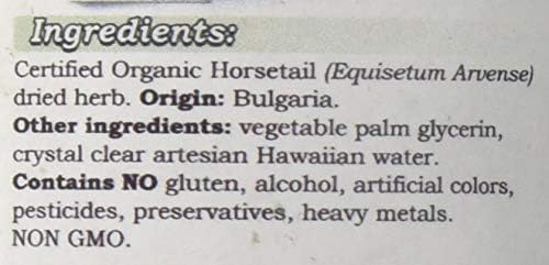 Horsetail Alcohol-Free Liquid Extract, Organic Horsetail (Equisetum arvense) Dried Herb Glycerite Hawaii Pharm Natural Herbal Supplement 4 oz