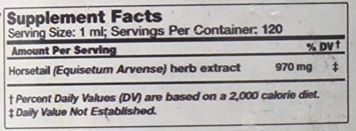 Horsetail Alcohol-Free Liquid Extract, Organic Horsetail (Equisetum arvense) Dried Herb Glycerite Hawaii Pharm Natural Herbal Supplement 4 oz