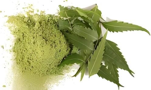 Neem Leaves Powder | 100 GMS Neem Powder for Skin | Neem Leaf Powder | Dried Neem Leaves Powder for Hair Growth