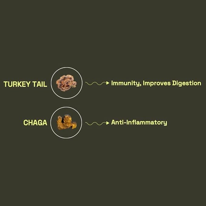 Earth and Star Mushroom Gummies - Gut Support | Chaga and Turkey Tail Mushrooms | Nootropic Mushroom Supplement Boosting Digestive and Gut Health | 60 Gummies