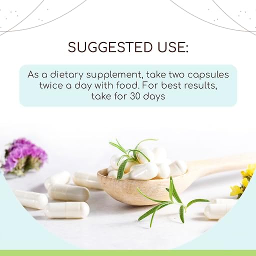 Angelica USDA Organic 120 Capsules | Natural Herbal Supplement | Certified Organic Vegetarian Capsules and Organic Angelica (Angelica archangelica) Dried Root (120 Capsules)