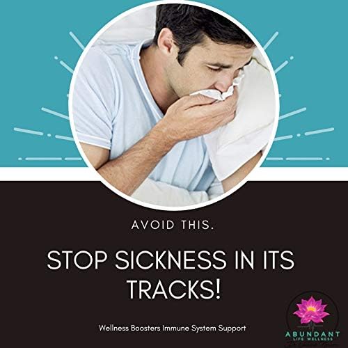 Echinacea Elderberry Goldenseal & More - 200 Caps - Wellness Boosters