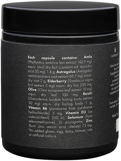 WelleCo The Immune Elixir Immune Support Supplement with Vitamin C, Zinc, Elderberry, Astragalus, B Vitamins & Reishi Mushroom for Immunity, Fatigue, Overall Wellness, Gluten Free & Vegan, 60 Capsules