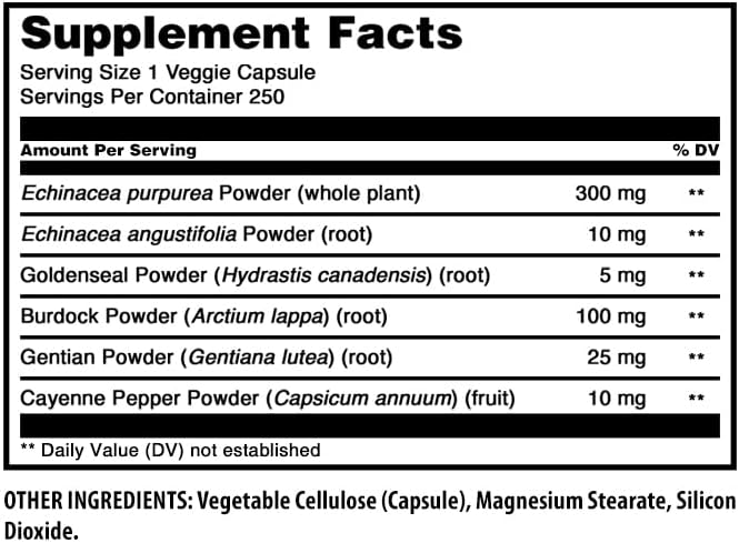 Amazing Formulas Echinacea with Goldenseal Supplement | 450 Mg | 250 Veggie Capsules | Non-GMO | Gluten Free | Made in USA