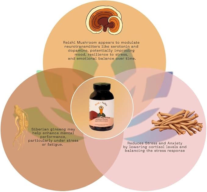 Peak + Valley Stress Relief Supplement for Mood Support Balance My Stress Capsules - Contains Adaptogens, Ashwagandha, Eleuthero Root, Reishi Mushroom Supplement - Natural Mood Stabilizer - 60 Ct