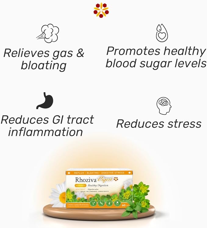 Digest Gut Health Supplement with Digestive Enzymes for Men & Women - Probiotics & Prebiotics for Gut Health - Reflux & Debloating for Women & Men - Daily Synbiotic Gut Vitamins - 60 Capsules