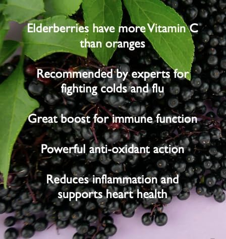 Immunity Vitamin C 1000mg with Elderberry, Quercetin, Bioflavonoids, Rose Hips, Rutin - 4 Months Supply, 120 Tablets - Immune System Support