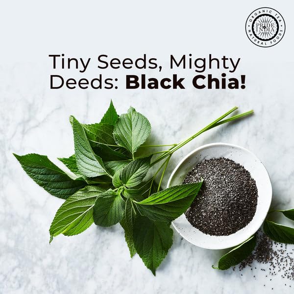 Pride Of India - PACK of 6 - Natural Black Chia Seeds - Omega-3 & Fiber Superfood, 1.25 Pound (20oz) Jar