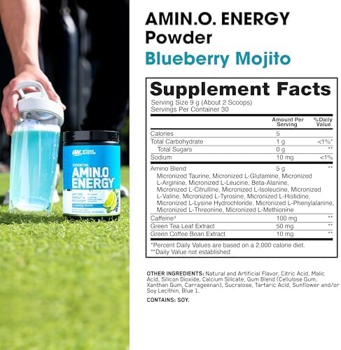 Optimum Nutrition Amino Energy - Pre Workout with Green Tea, BCAA, Amino Acids, Keto Friendly, Green Coffee Extract, Energy Powder - Blueberry Mojito, 30 Servings (Packaging May Vary)