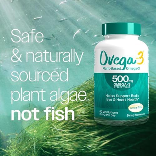 OVEGA-3 Plant-Based Omega-3 from Algal Oil Daily Supplement, 500mg, Supports Brain, Eye & Heart Health, Two Mini softgels per Day, 60 Count (Pack of 2)