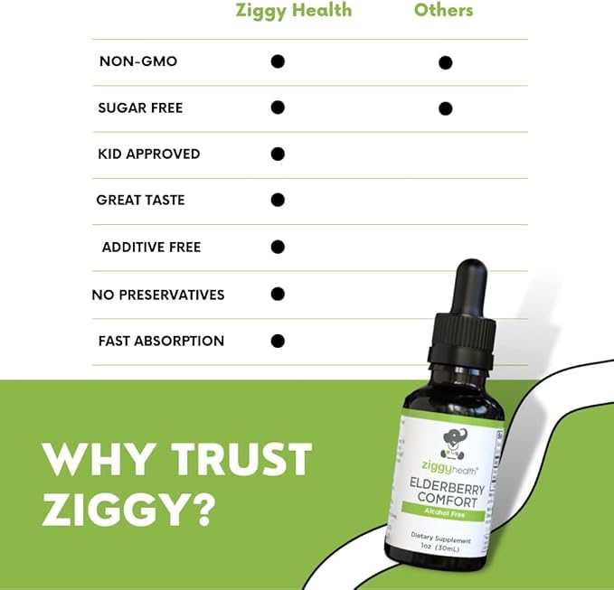 Organic Elderberry Tincture - Elderberry Extract - Liquid Elderberry Drops, Immune Support, Respiratory Support & Defense, 1oz - Ziggy Health
