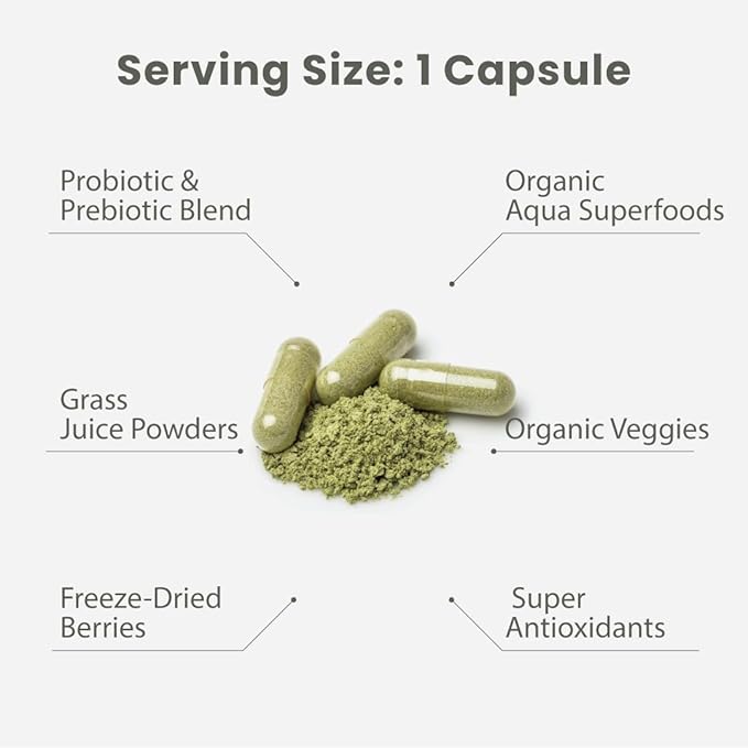 Paradise Herbs Earth's Blend Once Daily Multivitamin for Men, No Iron, 48 Organic Superfoods, Probiotics, and Vitamins A, B12, C, D, K2, 60 Count