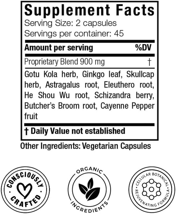 Doctor Morse's Brain & Nervous Systems Support - Support Immunity & Stress Level - Naturopath Formulated Nootropic Supplement - Ginkgo Leaf, Gotu Kola, Astragalus Root & Butchers Broom - 90 Capsules