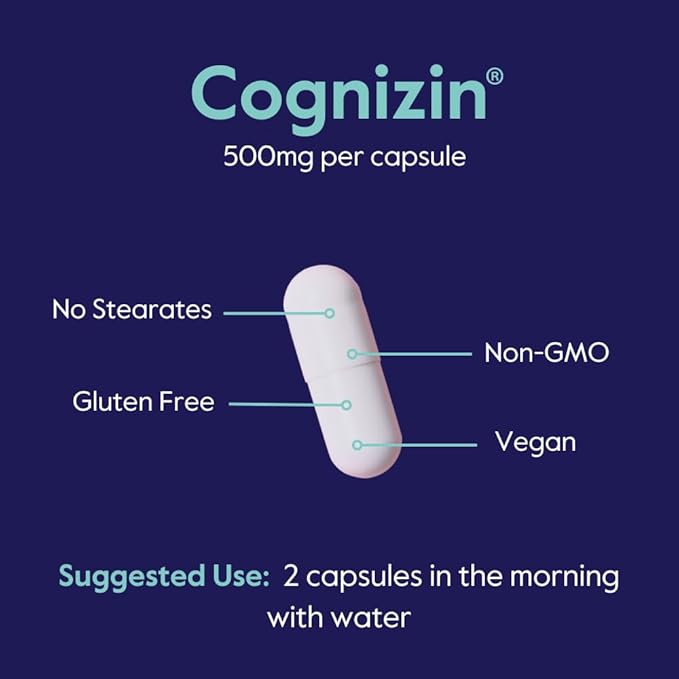 BESTVITE Cognizin 500mg (240 Vegetarian Capsules) (Value Size) - Clinically Studied Premium Choline Nootropic - No Stearates - Vegan - Non GMO - Gluten Free - Brain Supplements for Memory and Focus