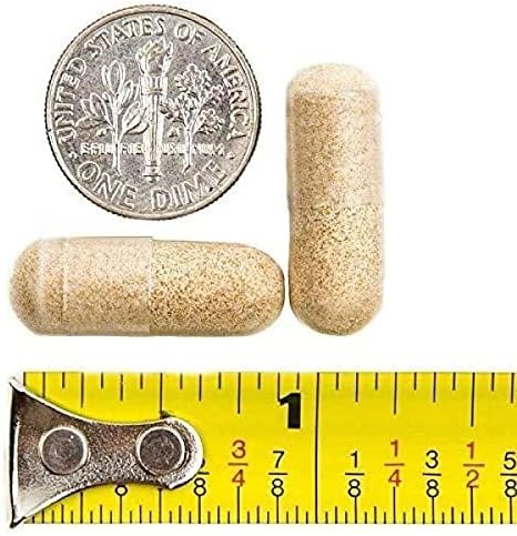 BariatricPal 90-Day Bariatric Vitamin Bundle (Multivitamin ONE 1 per Day! Capsule with 60mg Iron and Calcium Citrate Soft Chews 500mg with Probiotics - French Caramel Vanilla)