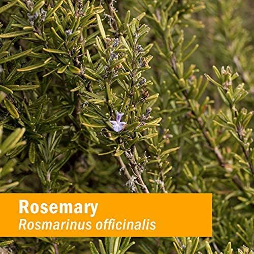 Herb Pharm Certified Organic Rosemary Liquid Extract - 4 Ounce