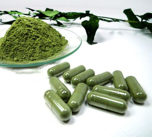 Jiaogulan Capsules (Gynostemma Pentaphyllum) Organically Grown | Improve Overall Health | Longevity Antiaging 100% Crushed Leaf (100x500mg)