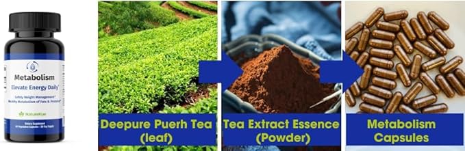 NatureKue Metabolism | Natural Weight Management & Energy Support | Immune & Digestive Health | Puerh Tea Extract, Green Tea, Herbal Supplement for Metabolism Boost – 60 Vegetarian Capsules