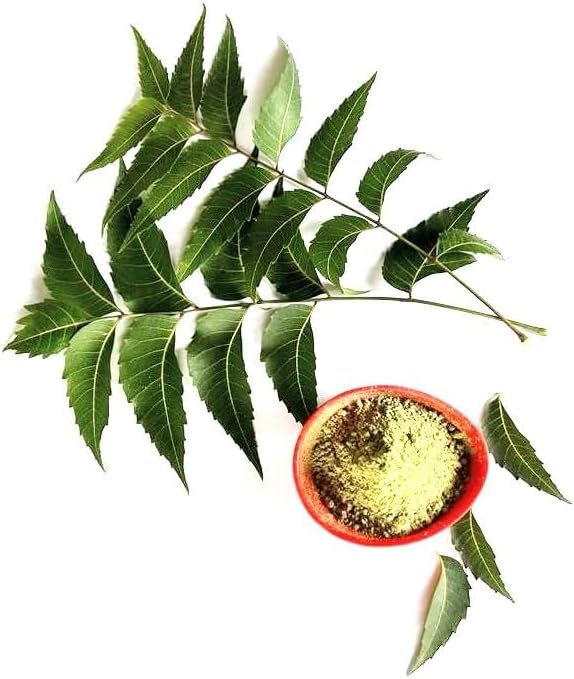 Neem Leaves Powder Certified Organic Non GMO No Added Preservatives or Additives Azadirachta Indica Powder (114 Gram)