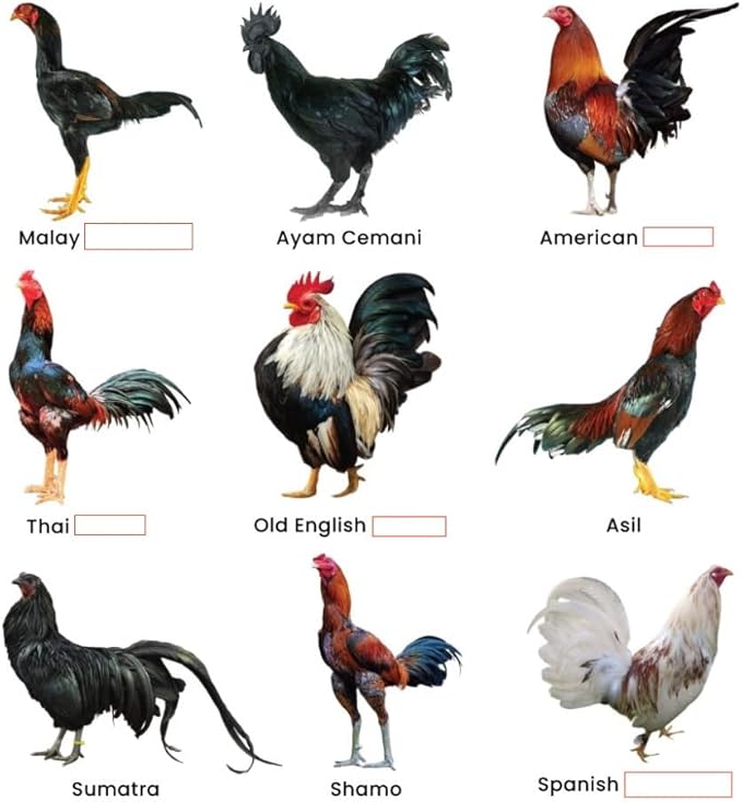 Farmalab B12 B15 for Roosters B15 B12 para Gallos 100 Tablets