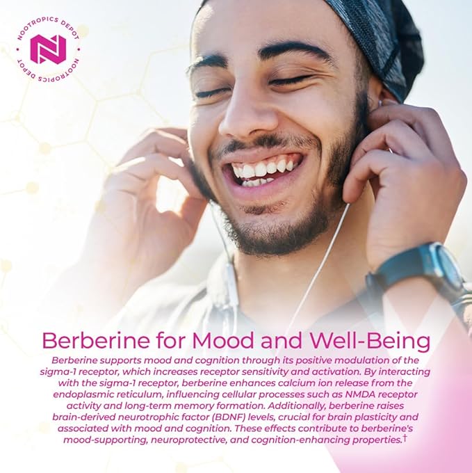 Nootropics Depot Berberine HCL + Silymarin Capsules | 500mg + 90mg | 180 Count | Supports Cellular Function, Metabolic Function, and Balanced Inflammation Levels