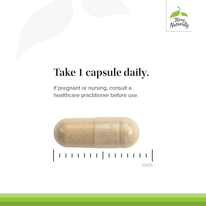 Terry Naturally Olive Extract EP20 - Brain Health Support Supplement with Olive Leaf Extract - Herbal Supplement to Aid Healthy Immune System Function - 60 Capsules (60 Servings)