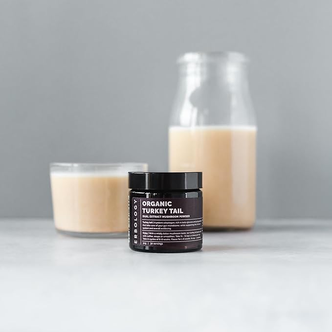 Erbology Organic Turkey Tail Dual Extract Powder 30 Servings - Prebiotic and Gut Nourishing - Trametes Versicolor - Sustainably Grown in Europe - Vegan - Non-GMO - No Added Fillers
