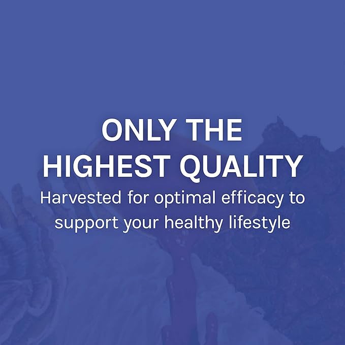 Host Defense Stamets 7-7 Species Blend - Mushroom Supplement for Immune Support - Includes Royal Sun Blazei, Cordyceps, Reishi, Maitake, Lion's Mane, Chaga & Mesima - 30 Capsules (15 Servings)*