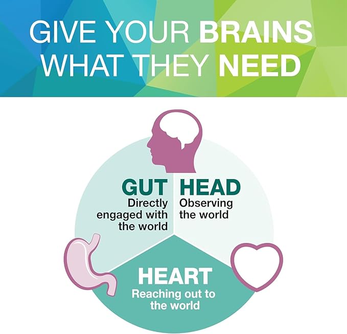 Natural Factors 3 Brains, Higher Thoughts, Support for Cognitive Health and Brain Function, Daily Dietary Supplement, 90 Softgels