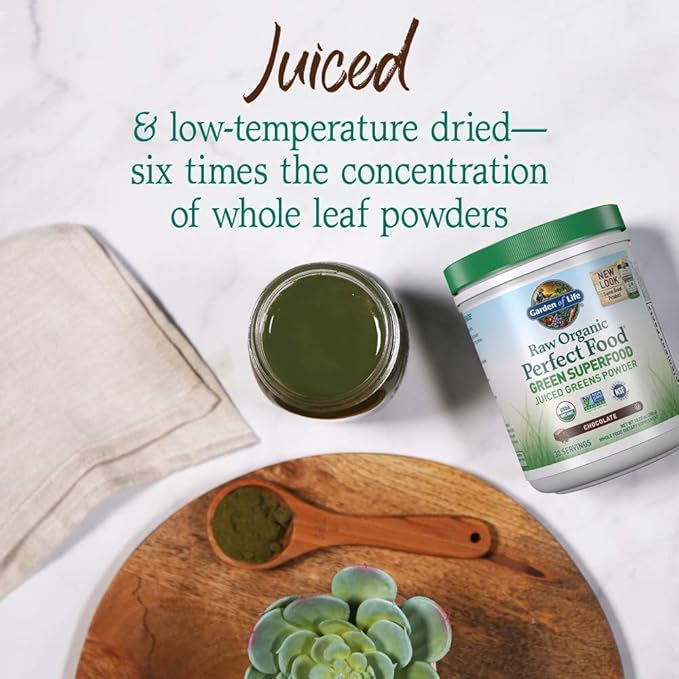 Garden of Life Raw Organic Perfect Food Green Superfood Juiced Greens Powder - Chocolate, 30 Servings (Packaging May Vary)