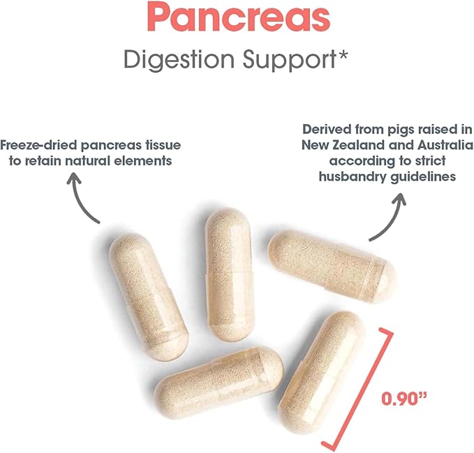 Allergy Research Group Pancreas Dietary Supplement - Digestive Support, Natural Glandur (Pork), Hypoallergenic, Vegetarian Capsules, Gluten Free - 720 Count