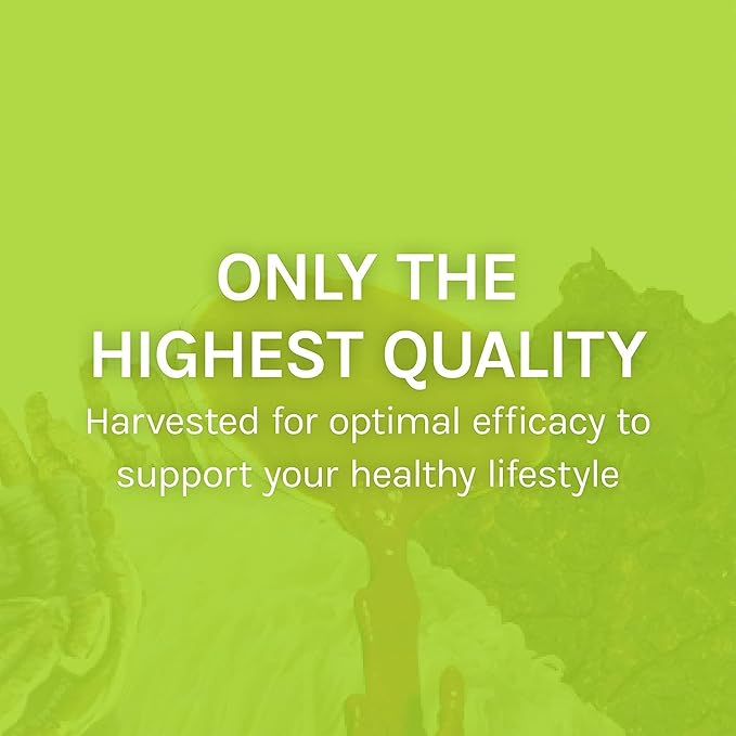 Host Defense Agarikon Capsules - Immune System Support Supplement - Mushroom Supplement to Aid Immune Functions & Cell Strength - Herbal Dietary Supplement - 120 Capsules (120 Servings)*