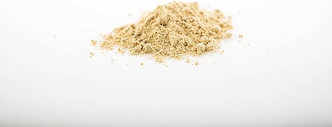 Sun Potion Reishi Mushroom Powder (Organic) - (100g)