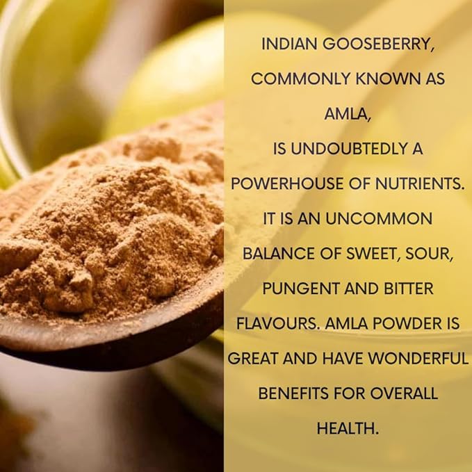 mGanna 100% Natural Amla/Indian Gooseberry/Emblica Officinalis Powder for Skin, Hair and Health Care 100 GMS / 0.22 LBS
