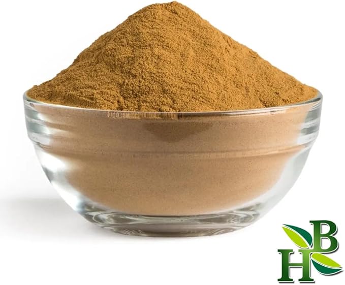 Reishi Mushroom Powder | Ganoderma Lucidum | Wildcrafted | 4oz