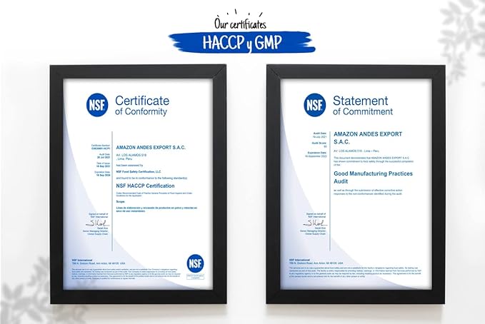 Amazon Andes Sacha Inchi Capsules (Plukenetia volubilis) - Source of Omega 3, 6, 9 with Essential Fatty Acids - Odorless & Sustainably sourced - Brain Function Supporter - 60 Softgel Pills (1000mg)