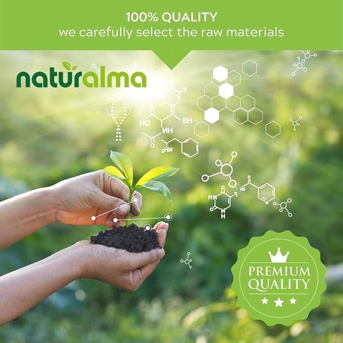 Naturalma Bilberry or European Blueberry (Vaccinium myrtillus) Fruit Alcohol-Free Tincture - 4 fl oz Liquid Extract in Drops - Herbal Supplement - Vegan