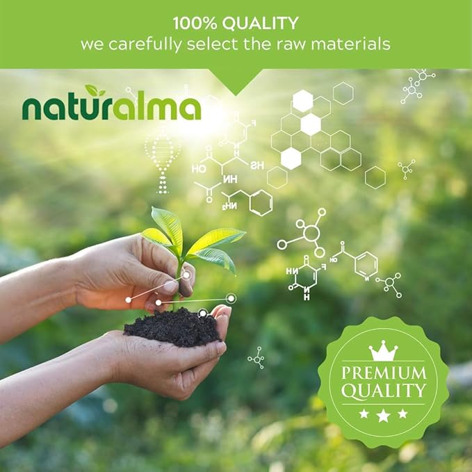 Naturalma Ginkgo (Ginkgo biloba) Leaf Alcohol-Free Tincture - 16.9 fl oz Liquid Extract in Drops - Herbal Supplement - Vegan