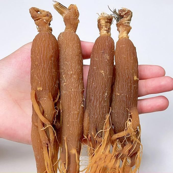 Red Ginseng Hongshen (500g(17.64oz))