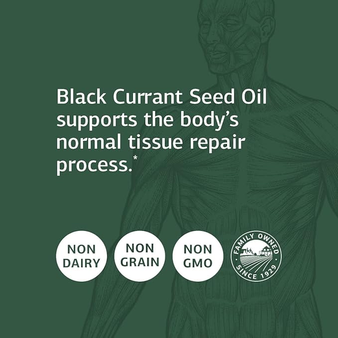 Standard Process Black Currant Seed Oil - Immune, Blood Flow & Tissue Repair Support with Whole-Food Based Blend of Black Currant Seed Oil & Gamma-Linoleic Acid - 60 Softgels