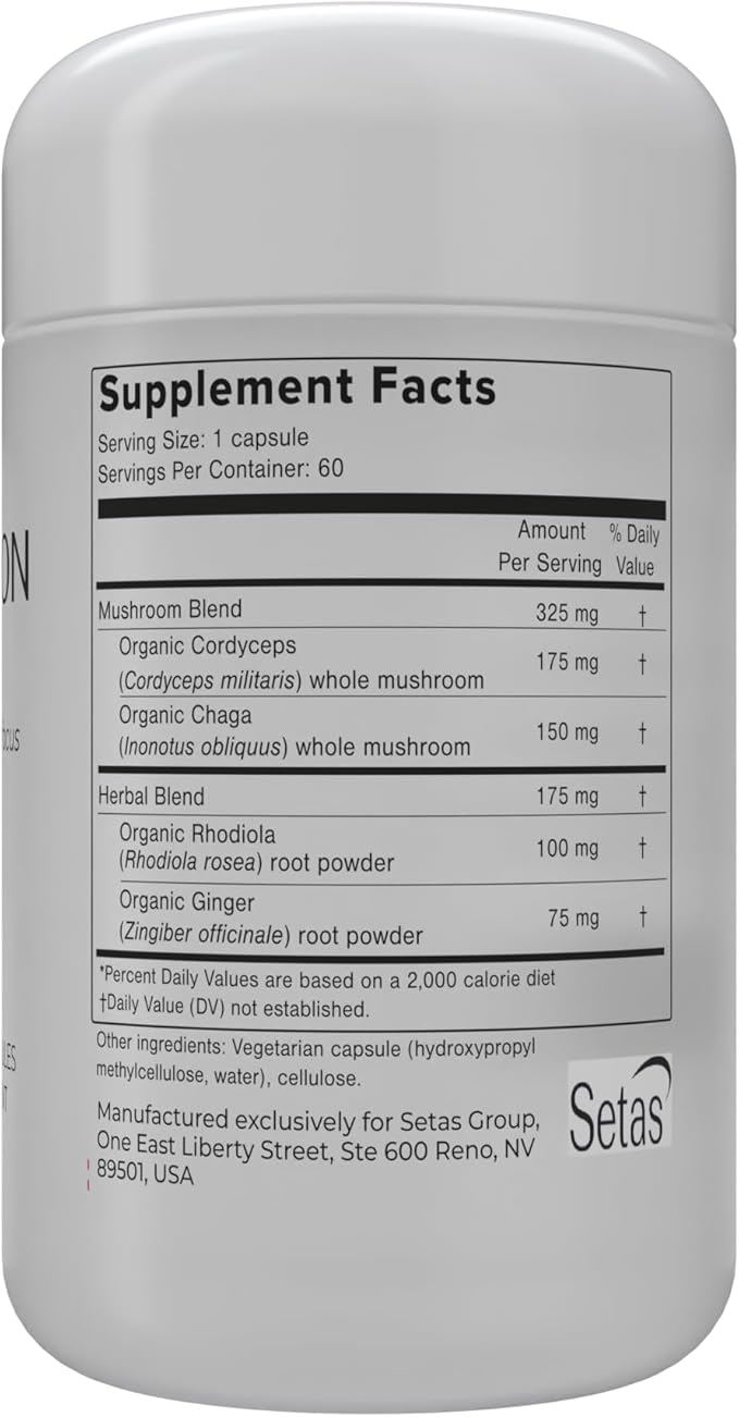 INTENTION Mushroom & Botanical Supplement by Setas – Organic Chaga & Cordyceps, Rhodiola & Ginger to Support Cognitive Function, Mental Focus, & Memory, Vegan & Non-GMO, 60-Day Supply