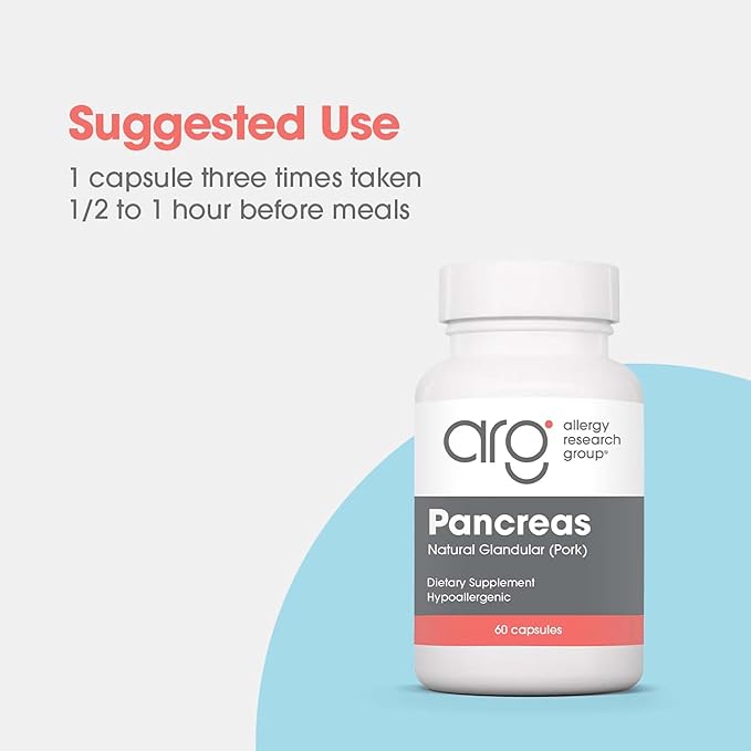 Allergy Research Group Pancreas Pork Supplement - Pancreas Natural Glandular, 425mg Pancreatic Enzymes, Digestive Enzymes Amylase, Protease - 60 Count
