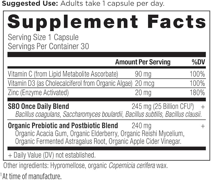 Ancient Nutrition Probiotics for Immune Support, SBO Once Daily Probiotics with Vitamin C and Vitamin D, 30Ct for Healthy Digestion and Immune System Function Support, 25 Billion CFUs*
