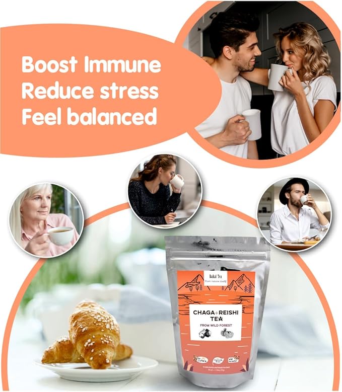Chaga Reishi Tea Wild Chaga Tea with Reishi - 30 Unbleached Tea Bags - Ganoderma Lingzhi Mushroom Supplement Tea with Wild Chaga